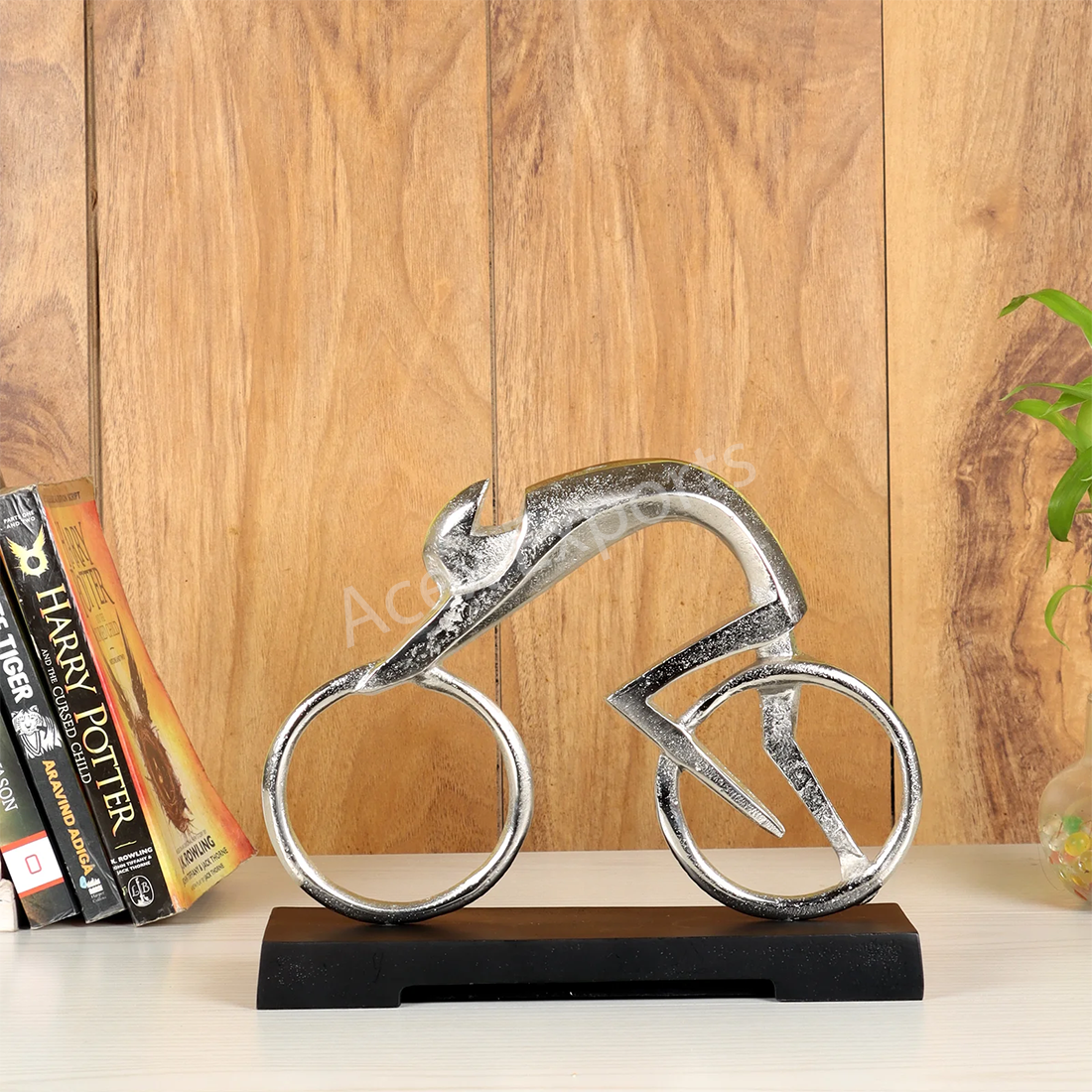 Bicycle Man Silver Finish
